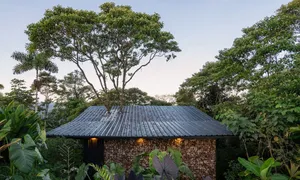 Nhà nghỉ dưỡng giữ nguyên cây lớn xuyên mái giữa rừng Amazon